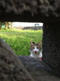 Фото приколы