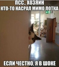 100% - насрали хозяин или хозяйка)