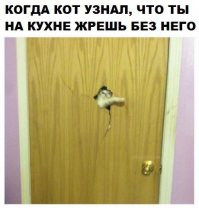 Котейки