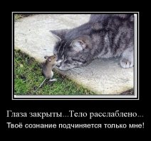 Смешные фото приколы и мемы с котами и кошками
