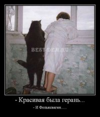 Смешные фото приколы и мемы с котами и кошками