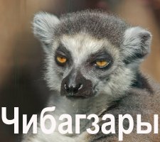 Убойные тексты из нашей жизни
