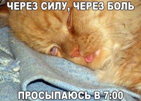 Смешные фото, демотиваторы, чтобы улыбнуло