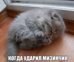 Смешные фото, демотиваторы, чтобы улыбнуло