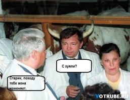 Смешные фото, демотиваторы, чтобы улыбнуло