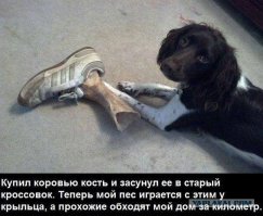 Смешные фото, демотиваторы, чтобы улыбнуло
