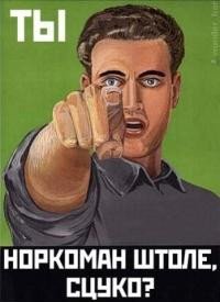 Волга головного мозга
