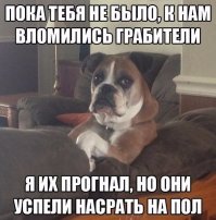 Ужасы и приколы из соцсетей