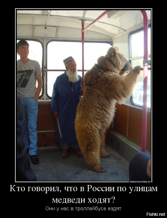c2446dad8db59b4c308c6d7928fb9260.jpg