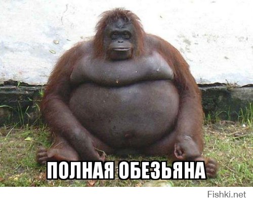 БМВ головного мозга или быдло обезьяна