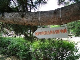 Смешные картиночки