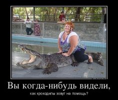 Политические комментарии из соц.сетей