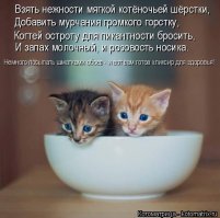 Котейкины