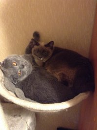 Знакомо...