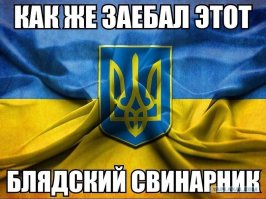 Политические комментарии из соц.сетей
