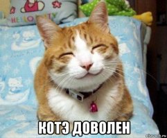 Кошкин дом