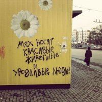Картинки с надписями