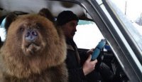 Это же одно лицо