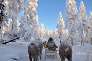 Прекрасная Япония