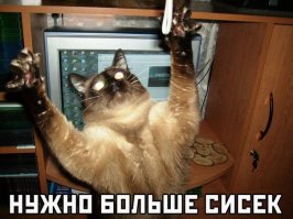 Эмоциональные фото животных