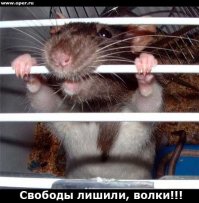 Эмоциональные фото животных