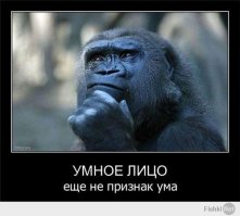 Эмоциональные фото животных