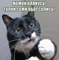 Эмоциональные фото животных