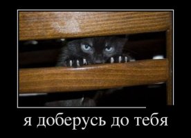Эмоциональные фото животных