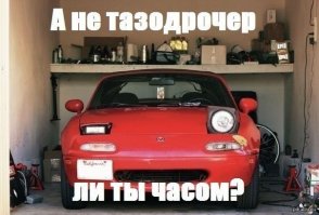 Саня, купи гараж!