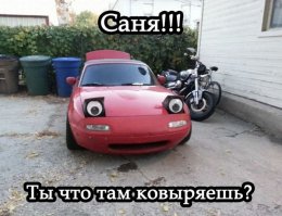 Саня, купи гараж!