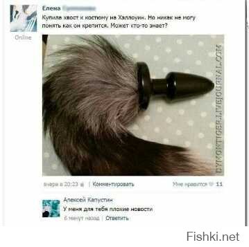 Прикольные картинки