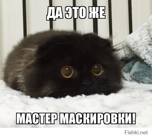 Сбегай с места ДТП правильно
