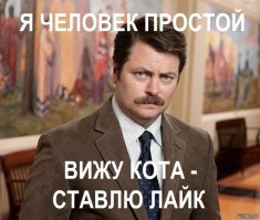 Позитивные и забавные животные