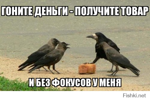 Позитивные и забавные животные