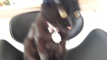 Окaзывaется, чтобы сделaть смешную фотогрaфию, вовсе не нужно иметь фотошоп