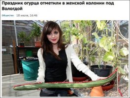 Нотка юмора