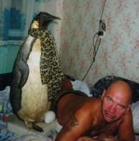 Линуксоид