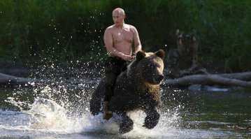 не совсем на коне...