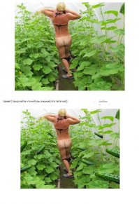 Когда просишь отфотошопить задумайся дважды!