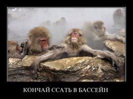 Демотиваторы 01.09.2016