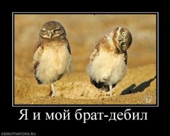 Встретились два одиночества