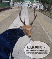 Смешные комментарии из социальных сетей 02.09.2016