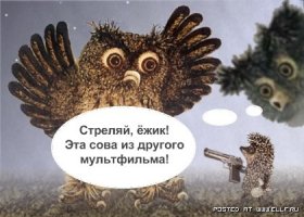 Прикольные фото и картинки