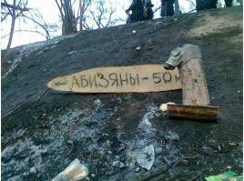 Прикольные фото и картинки