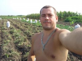 Картофельфест