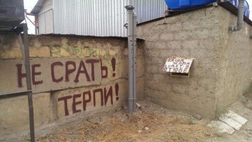 Прикольные фото и картинки