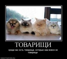 Найди лишний объект