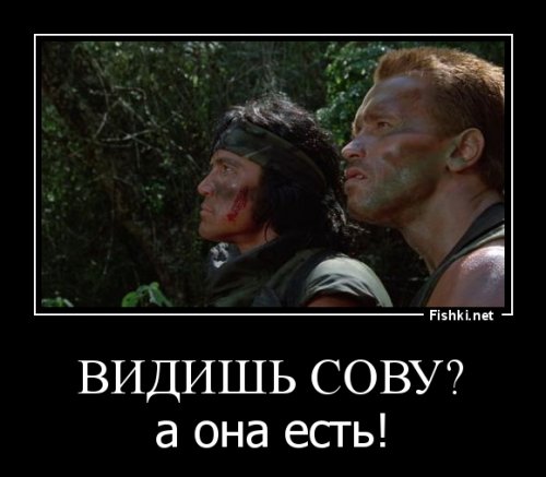 Видишь сову? Нет? А она есть