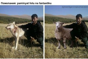 Волк как настоящий получился)