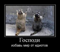 ИГИЛ ДЕБИЛ